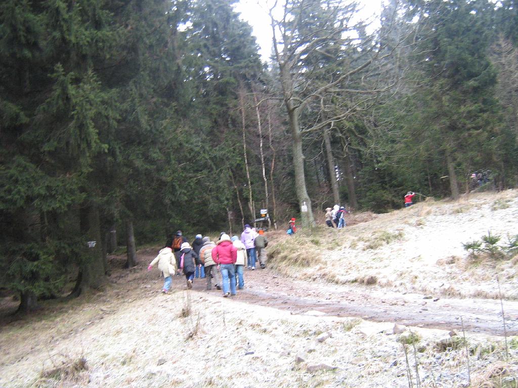 Obraz 263.jpg